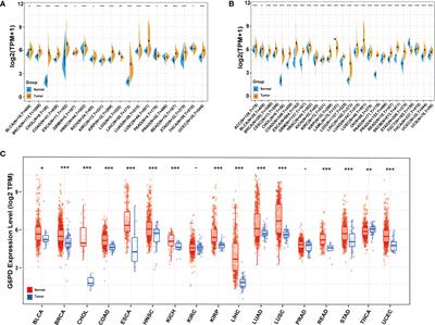 Pan-cancer analysis reveals that G6PD is a prognostic biomarker and therapeutic target for a variety of cancers